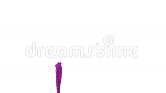 喷泉的紫色油漆如汽车油漆白色背景与阿尔法哑光使用它如阿尔法通道版本5视频的预览图