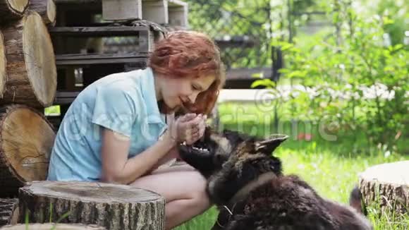 女人她的美丽的狗在户外休息视频的预览图