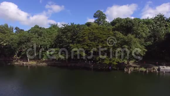 山湖岸边的树木和植被无人机视频的预览图