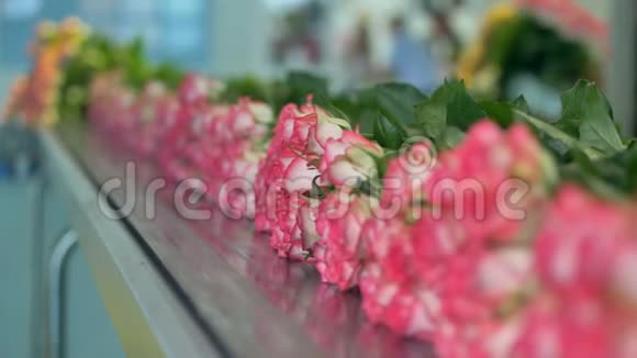 花卉产业鲜花厂传送带上美丽的玫瑰视频的预览图