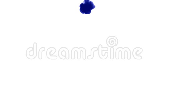 白色背景上的深蓝色墨水流自上而下溶解在水中侧视图阿尔法通道是视频的预览图