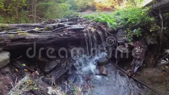 山涧中的黄叶清水中的旧原木视频的预览图