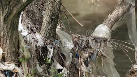 水污染树木上的垃圾视频的预览图