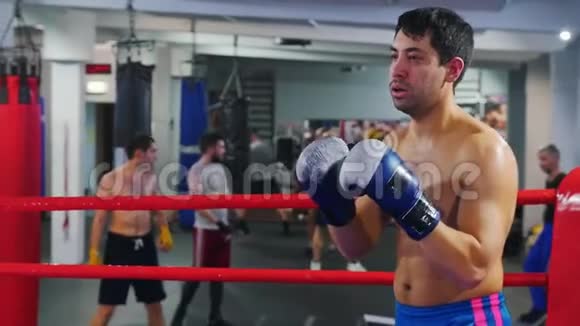 在健身房拳击两个男人在拳击场上进行训练视频的预览图