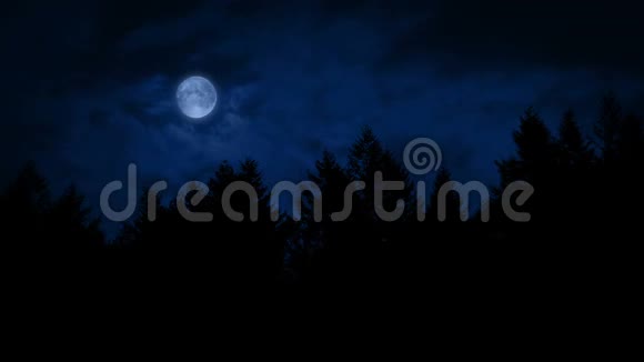 月亮在森林之上的夜晚视频的预览图