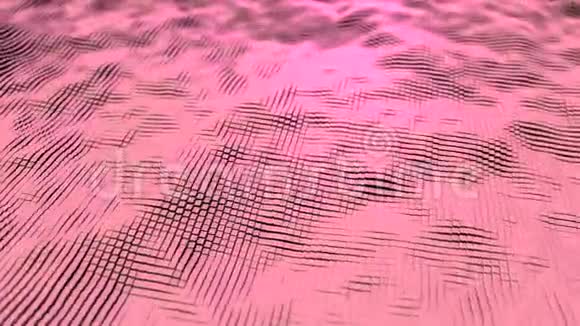 网络空间的彩波动画抽象背景与动画的光挥发面无缝动画视频的预览图