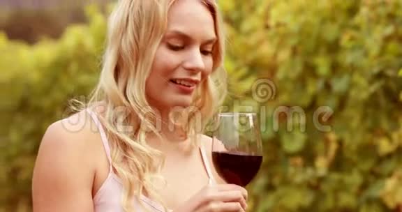 微笑的女人闻着红酒杯视频的预览图