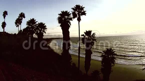 海啸点海滩棕榈树视频的预览图