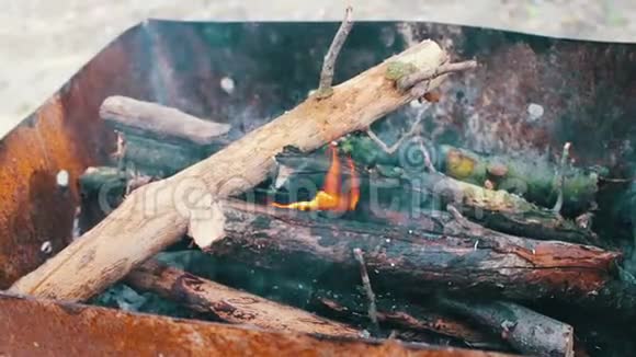 干燥的树枝在自然界的烤架中燃烧视频的预览图
