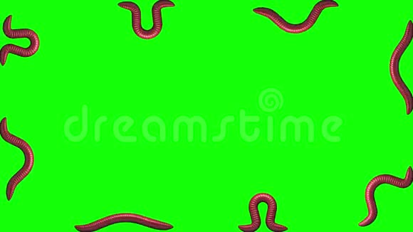 蠕虫在绿色循环三维动画视频的预览图