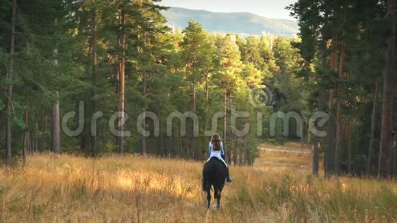 骑着棕马穿过树林的女孩视频的预览图