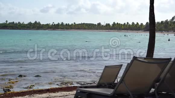 热带海岸豪华度假酒店海滩景观椰子树的叶子随风飘动在蓝天上视频的预览图
