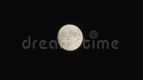 满月之夜视频的预览图