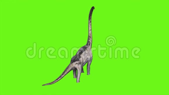 恐龙腕龙动画在绿色屏幕上现实渲染视频的预览图