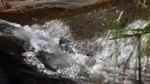 野生自然中的瀑布景观视频的预览图