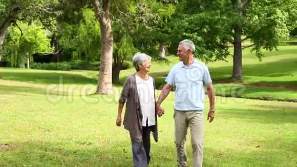 退休夫妇一起在公园散步视频的预览图