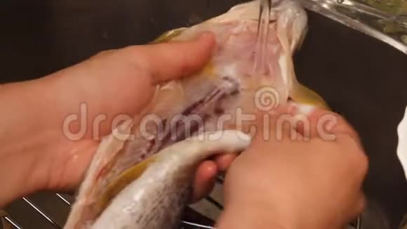 洗和清洗鱼视频的预览图