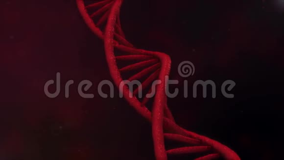 数字DNA旋转DNA链是由单个元素组装而成的基因工程科学理念视频的预览图