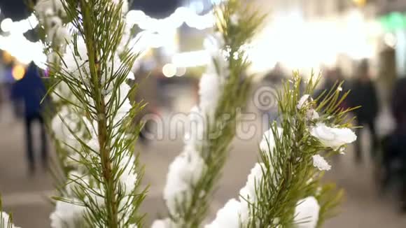 圣诞树上的雪视频的预览图