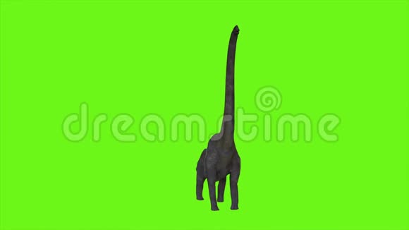 恐龙腕龙动画在绿色屏幕上现实渲染视频的预览图