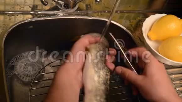 洗和清洗鱼视频的预览图