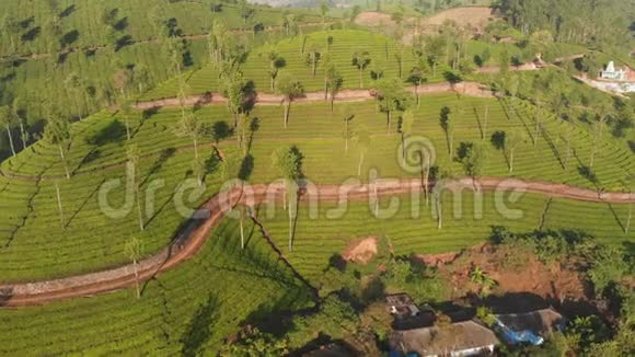 蒙纳市附近无人机茶园的鸟瞰图喀拉拉邦印度视频的预览图