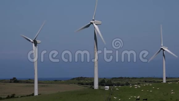 4K风力涡轮机在传统农田与羊蓝英国视频的预览图