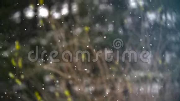 冬季景观慢动作的雪落下来视频的预览图