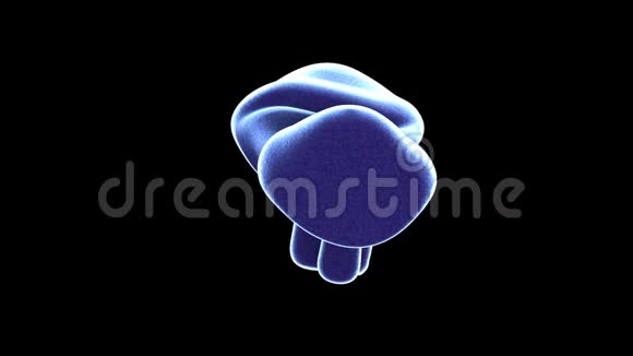旋转蓝色与白色边缘蘑菇在黑色以一种稍微迷幻的方式无缝循环高清晰度视频视频的预览图