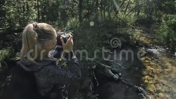 游客在森林河拍摄风景木桥倒树一个白种人女人用漂亮的魔法视频的预览图