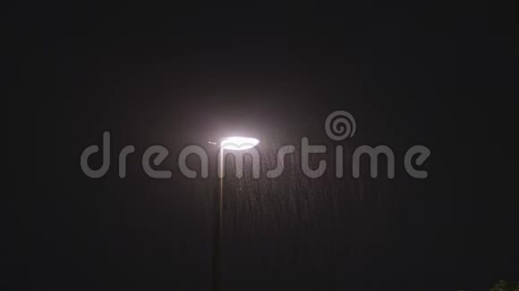 雨夜单独的灯柱视频的预览图