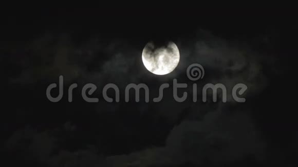 夜空中的满月笼罩着树木和视频的预览图