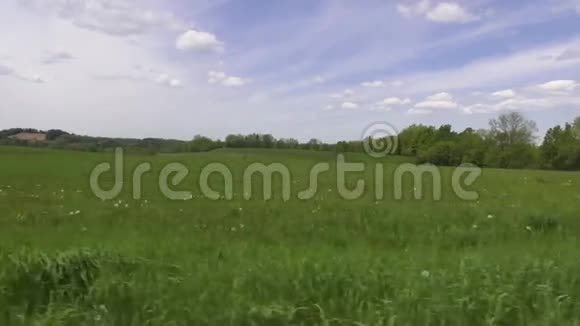 田野平原草甸牧场景观视频的预览图