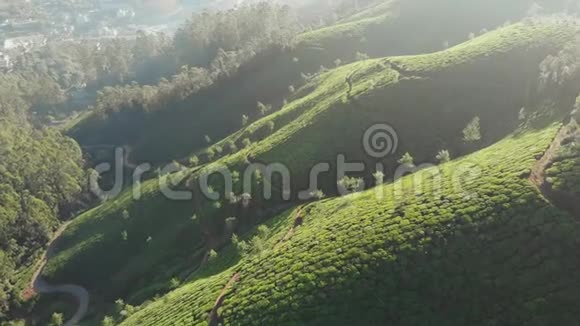 蒙纳市附近无人机茶园的鸟瞰图喀拉拉邦印度视频的预览图