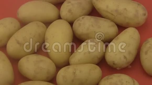 新鲜的有机土豆红色背景视频的预览图