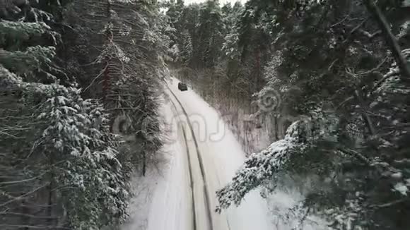 冬季森林中汽车行驶的鸟瞰图视频的预览图