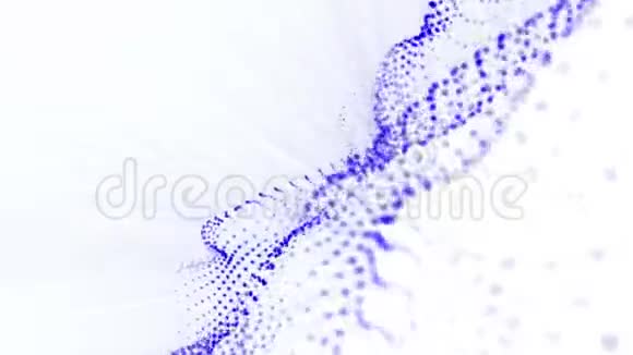 蓝色粒子的平面慢慢地在白色上振荡抽象动画3D渲染视频的预览图