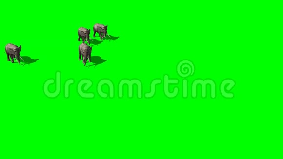 大象的羊群绿色的屏幕视频的预览图