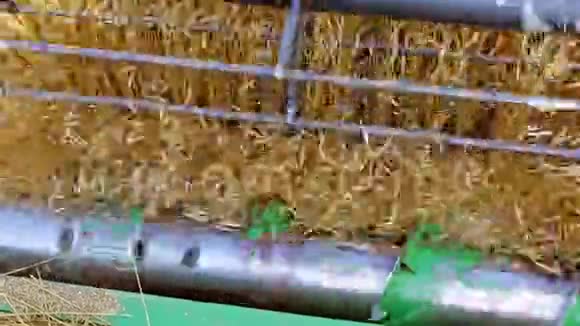 秋季麦田联合收割机视频的预览图