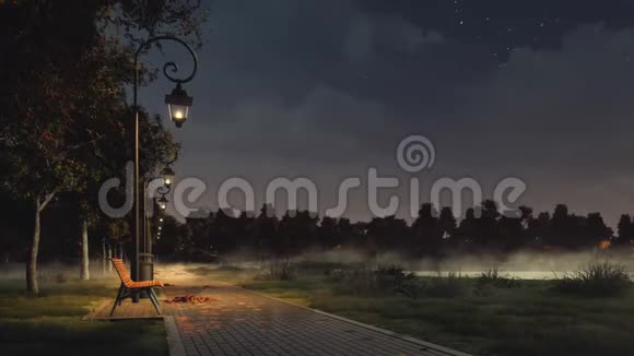 秋夜雾蒙蒙的城市公园空路视频的预览图