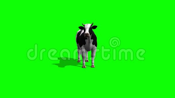 牛站着吃绿屏视频的预览图