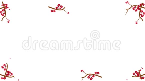 树枝和红叶生长在阿尔法通道的框架中视频的预览图