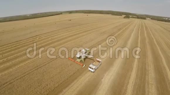 收割机收割庄稼把粮食倒进卡车里技术领域的工作视频的预览图