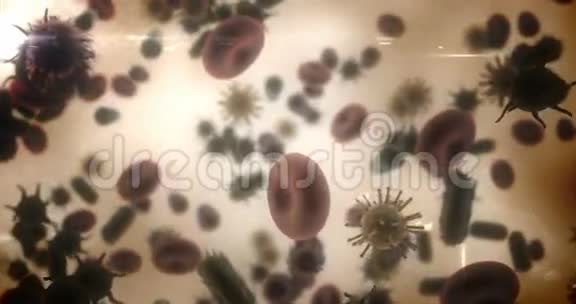 棕色背景下产生的病毒细胞红细胞和细菌视频的预览图