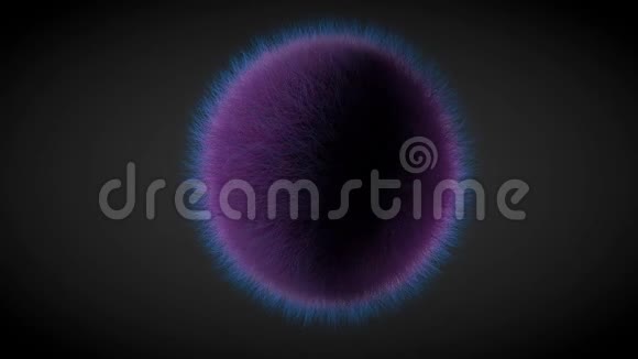 滚动紫色毛球隔离在黑色背景上3D雷德纳视频的预览图