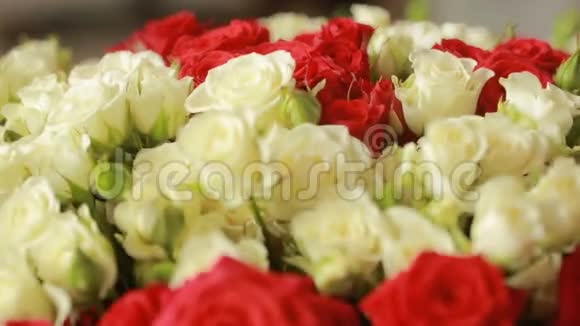 鲜艳的红白玫瑰花束特写视频的预览图