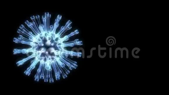 一种黑色的蓝色圆形细菌视频的预览图