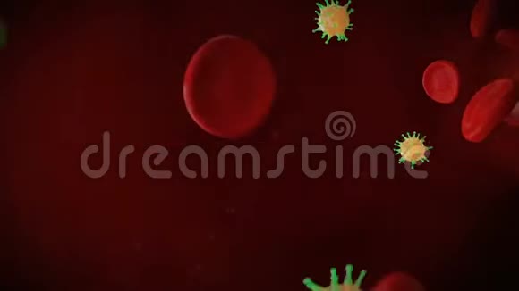 静脉内的细菌细胞和血细胞视频的预览图
