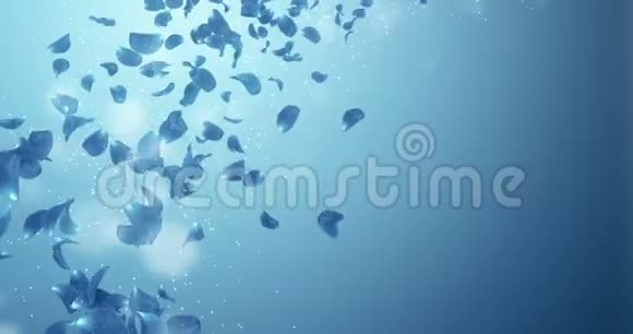 飞行浪漫深蓝色玫瑰兰花花瓣落座环4k视频的预览图