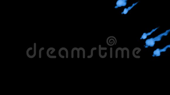 许多流动的荧光蓝墨水或烟雾隔离在黑色的缓慢运动蓝色在水中流动用途视频的预览图